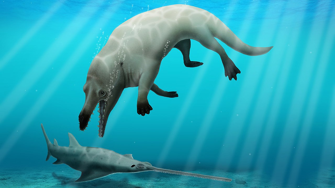 Охотился в воде и на суше: в Египте нашли кита-хищника с четырьмя лапами