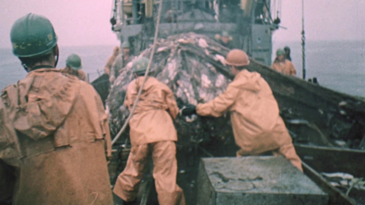 90 е году ознаменовались крушением мировой. крах кпсс. 90 е году ознаменовались крушением мировой. 90 е году ознаменовались крушением мировой. 90 е году ознаменовались крушением мировой.