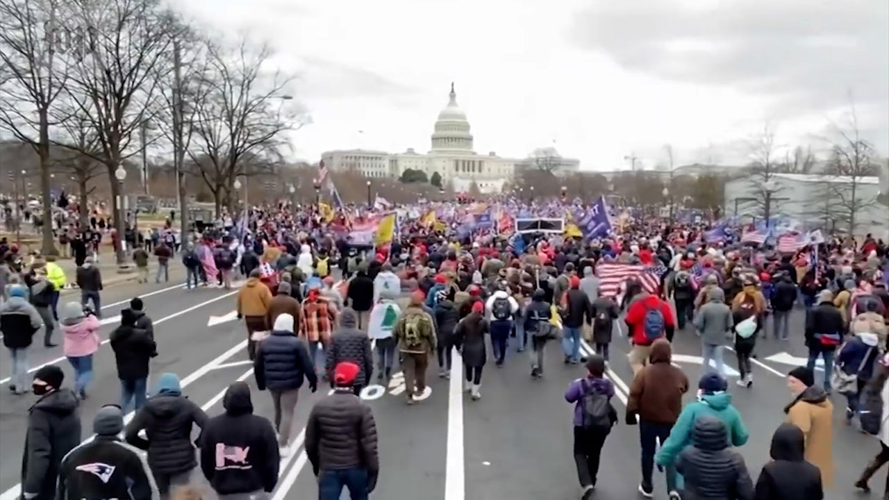 Политический «день сурка»: как прошел митинг у Капитолия в Вашингтоне 