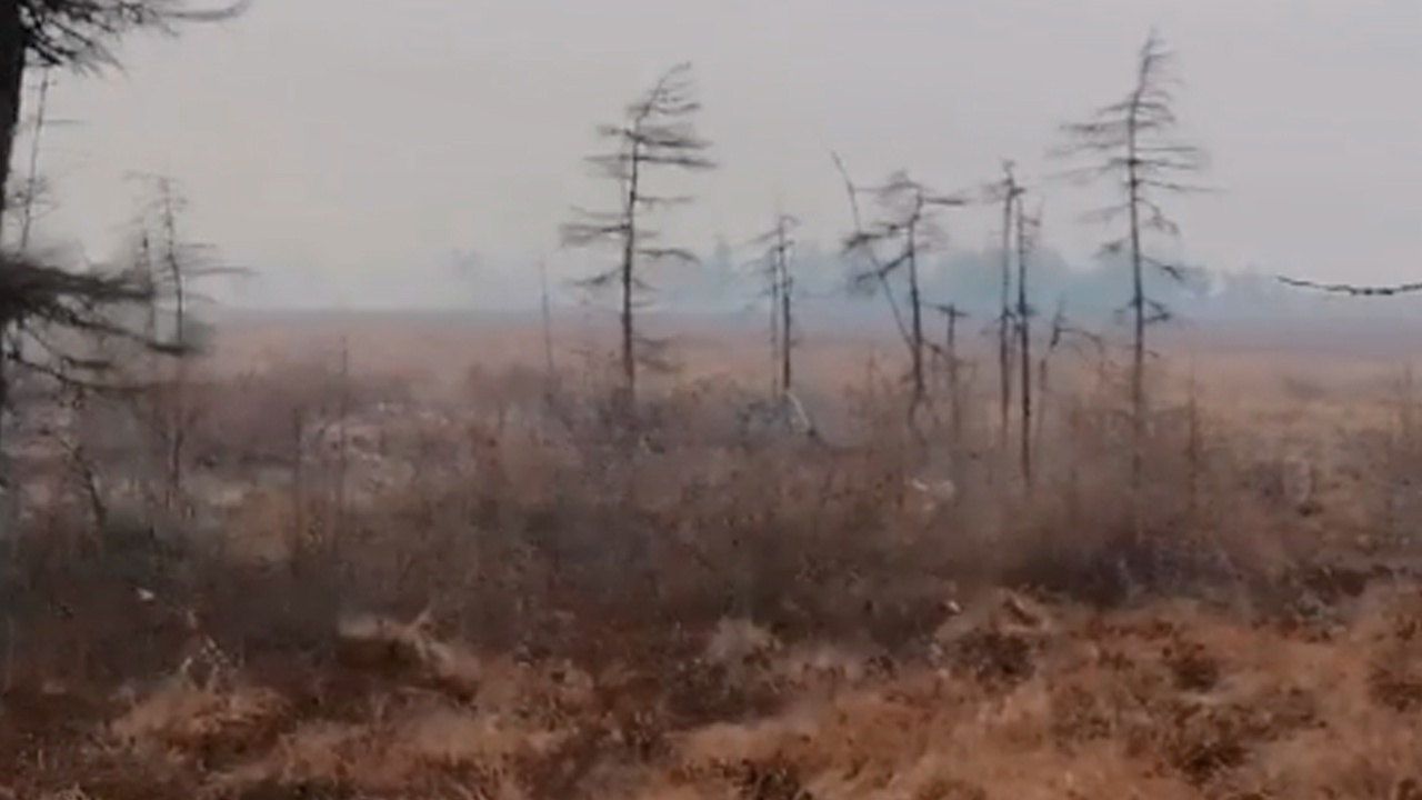 Песков ответил на слова Байдена о пожарах в тундре в России