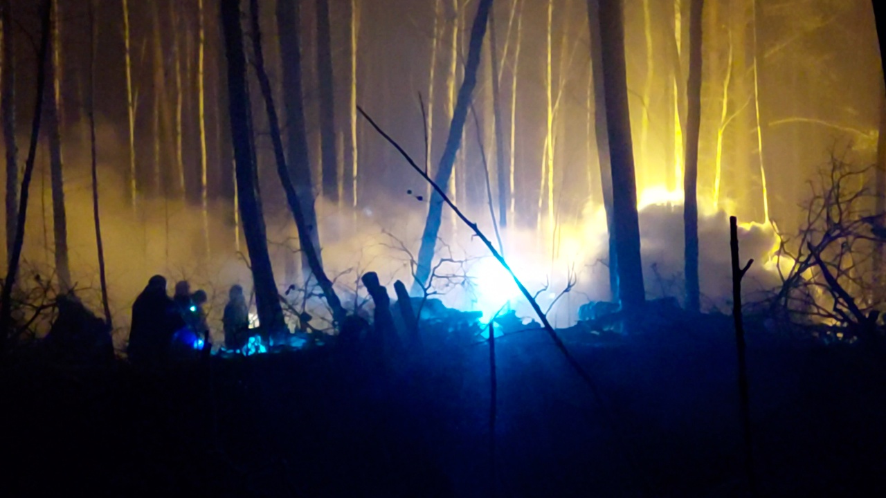 Ан новости. В Онеге сгорел дом. Пожар в Бурзянском районе сегодня. На турбазе Солнечный мыс сгорел дом. Покажи замыкание на столах видео в лесу.