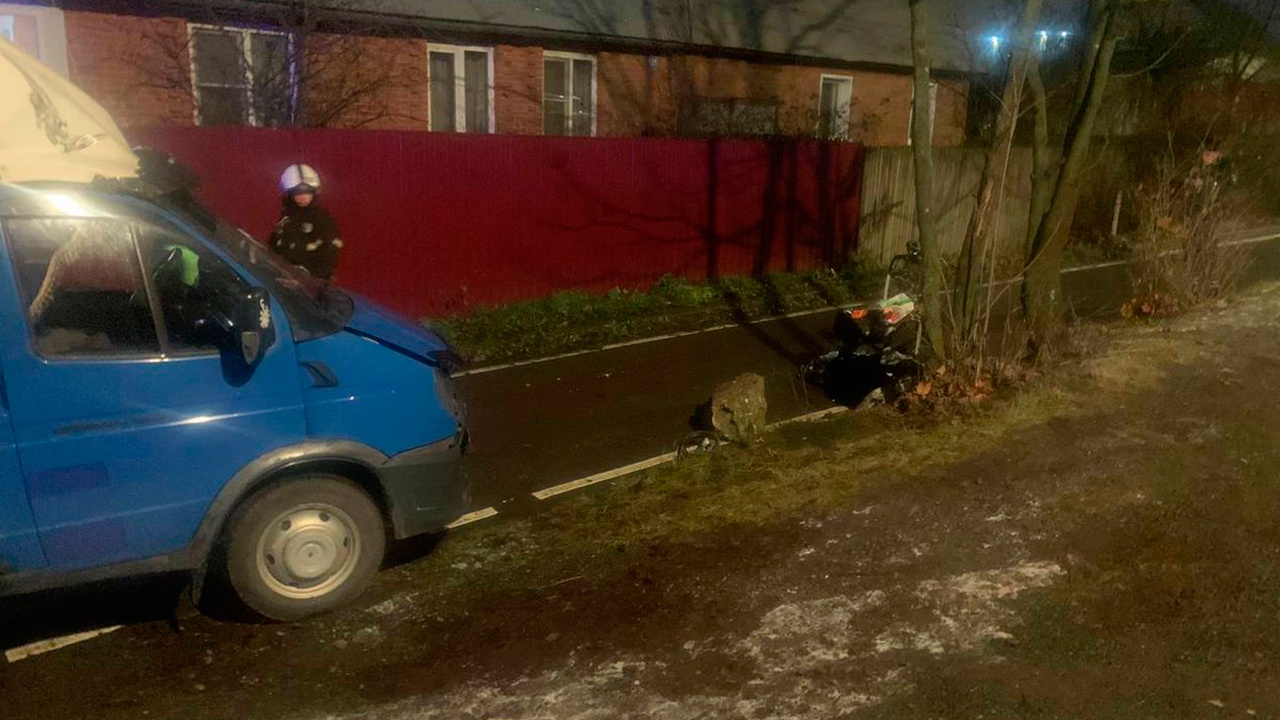 Водитель «Газели» сбил женщину с двумя детьми в Новой Москве
