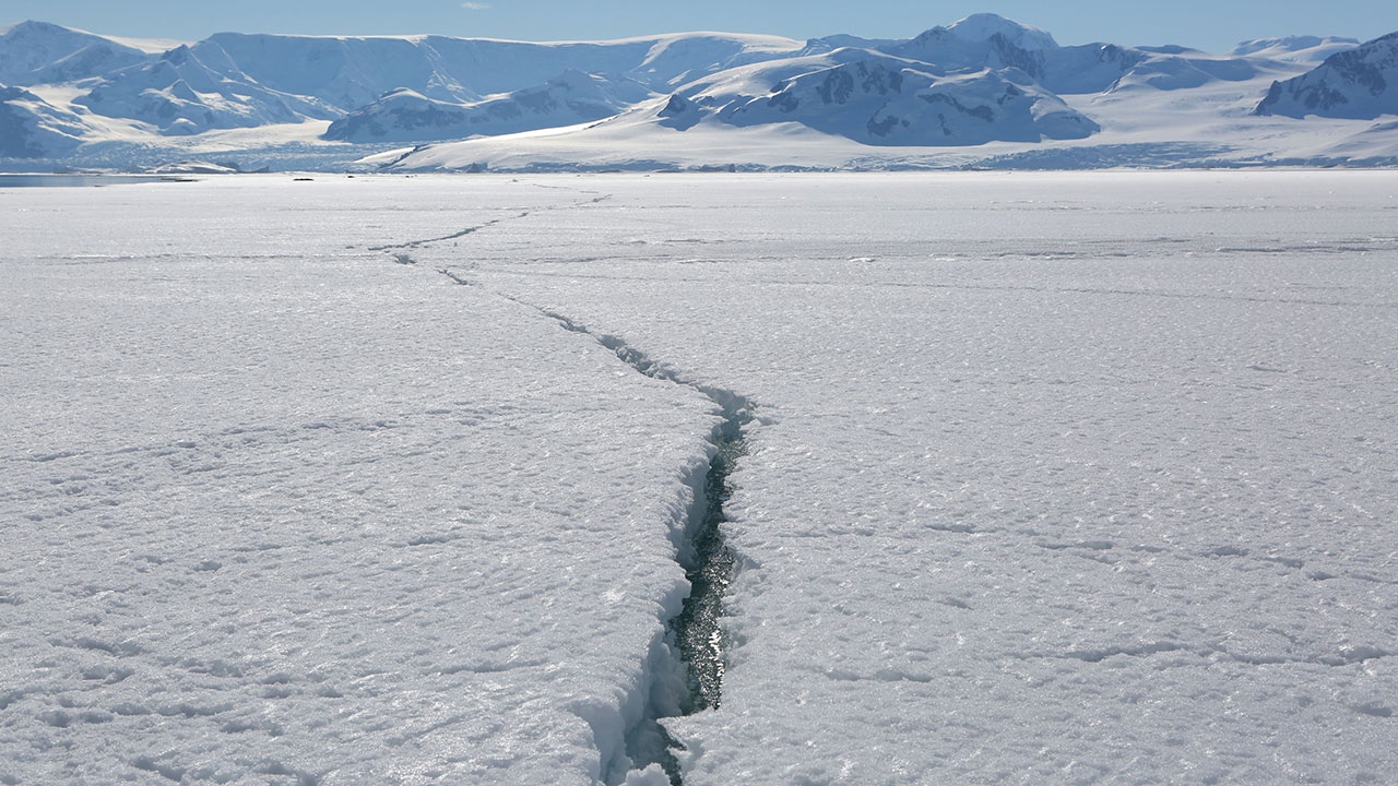 Ученые определили, как образовались льды Антарктиды