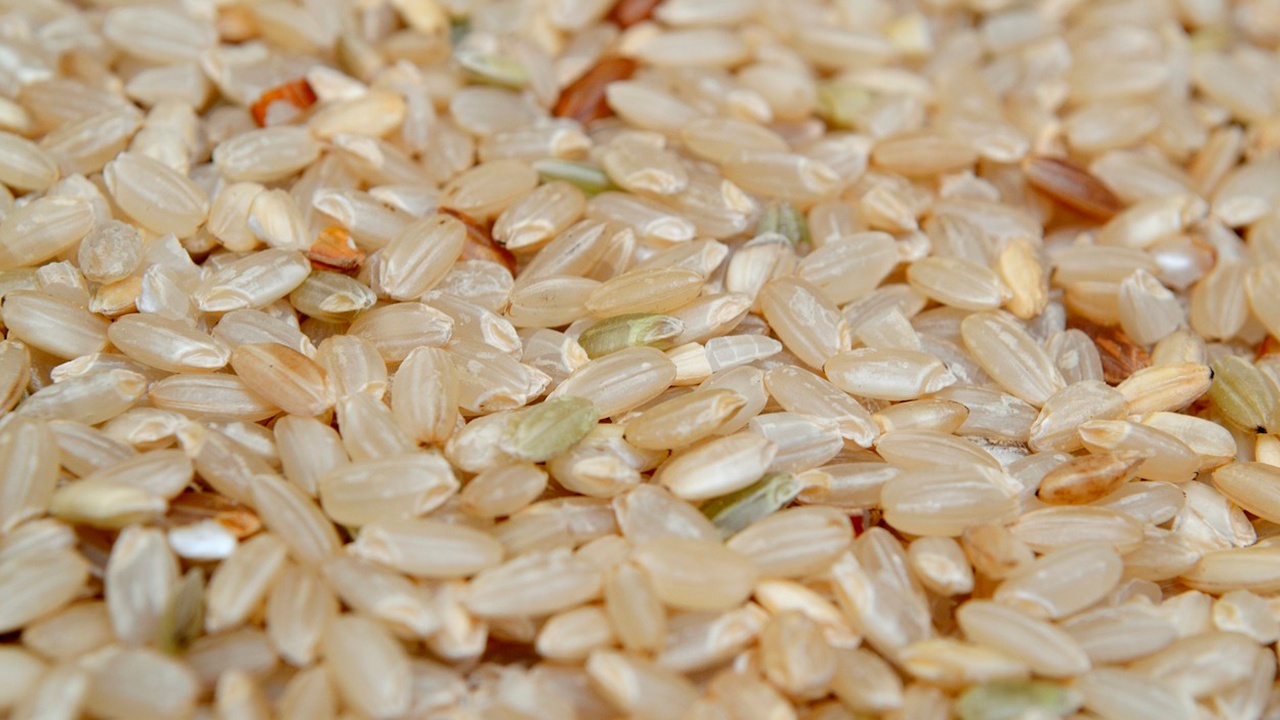 Эксперт объяснила, кому категорически нельзя есть бурый рис