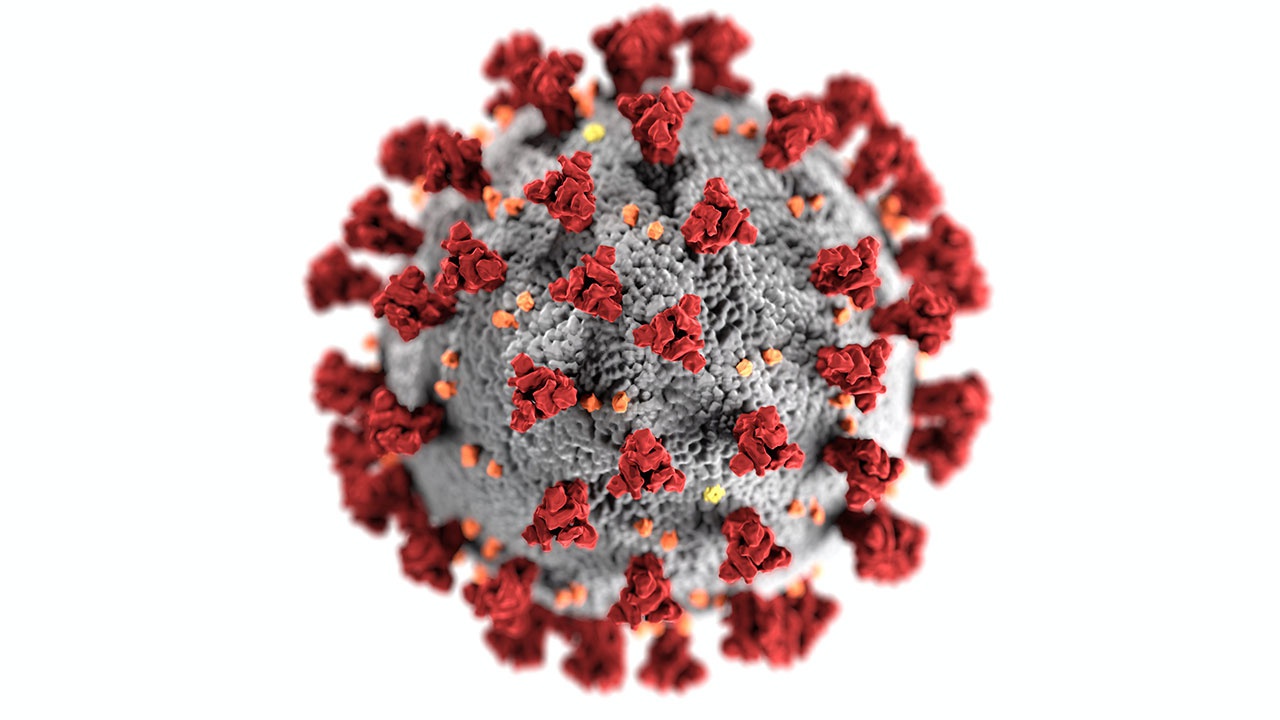 Эксперт сообщил, что еще несколько групп коронавирусов готовы прорваться к людям