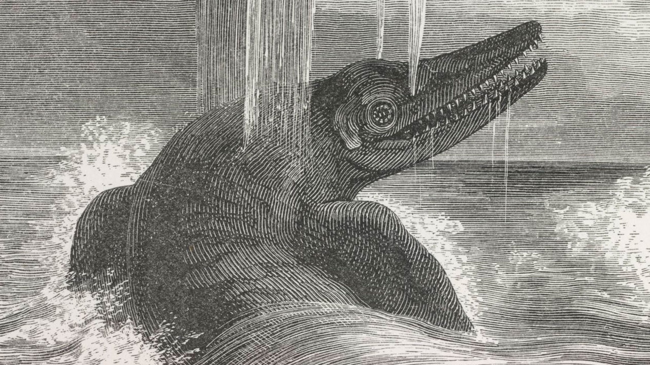 Древний «морской дракон» увеличился в размерах в рекордные сроки
