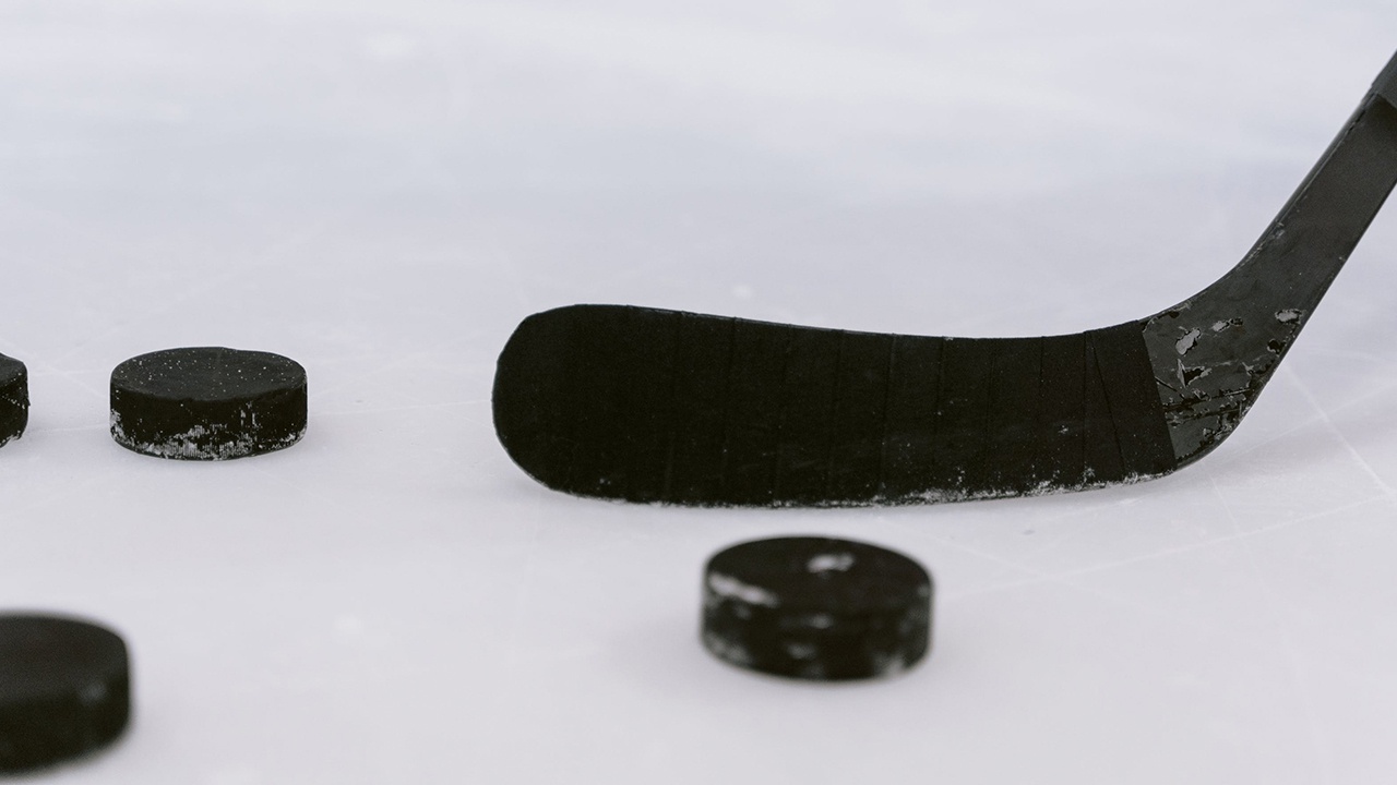 В Чехии назвали причину снятия молодежной хоккейной команды страны с рейса