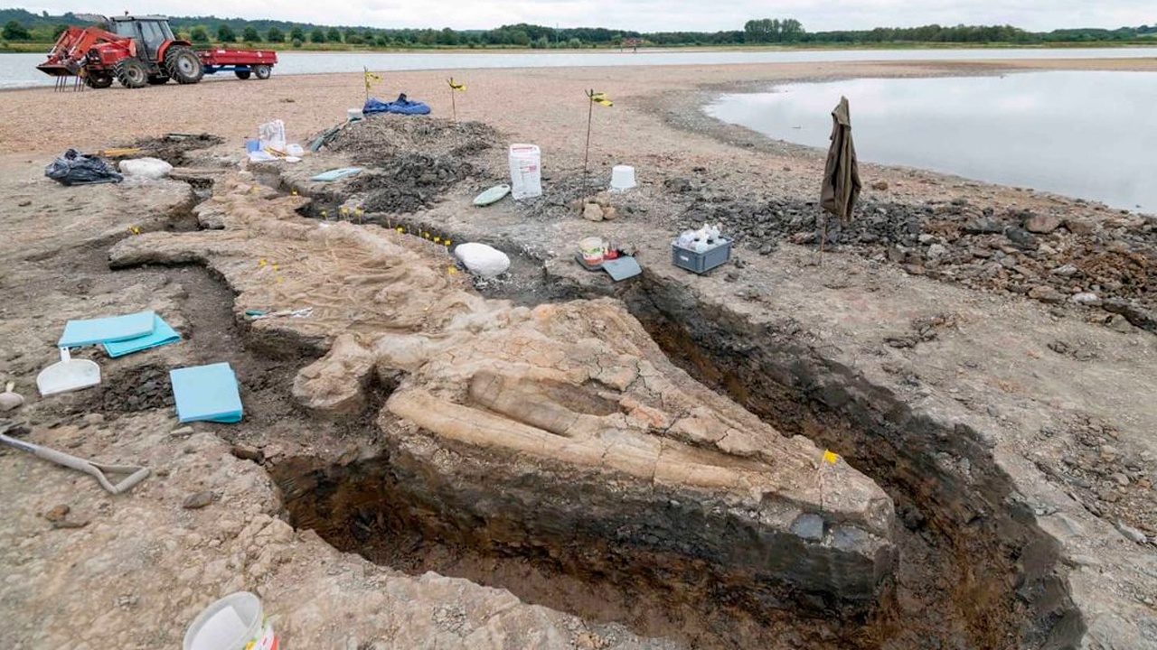 Крупнейшего «морского дракона» обнаружили в Великобритании