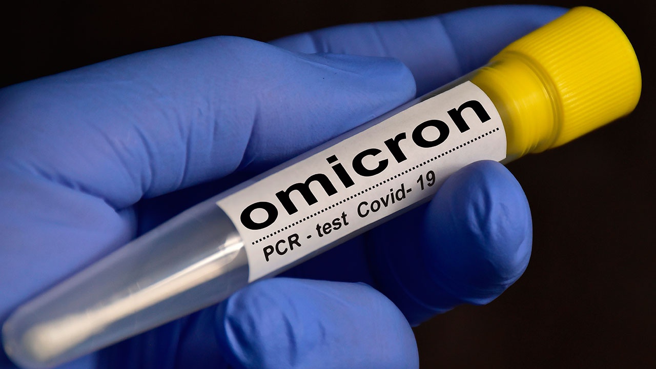 В НИЦ Гамалеи разработали тест на антитела к омикрон-штамму