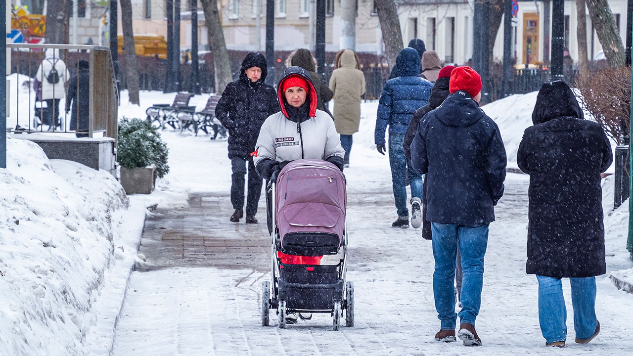 Синоптик спрогнозировала «передышку между снегопадами» в выходные в Москве
