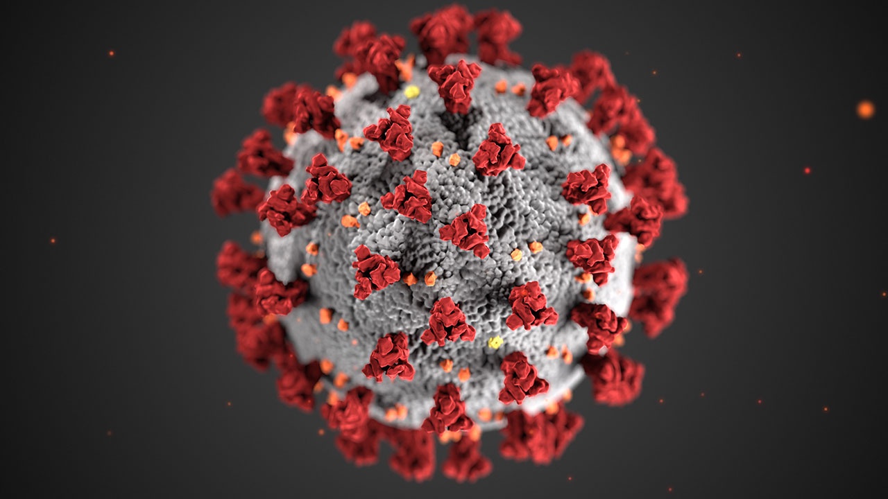 Биолог рассказал о потенциале коронавируса в лечении рака
