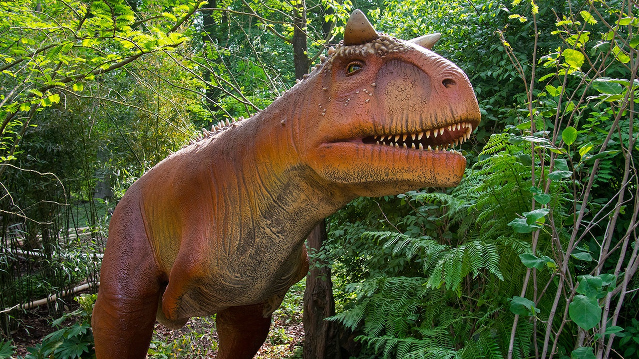 Гигантского «безрукого» динозавра обнаружили в Аргентине