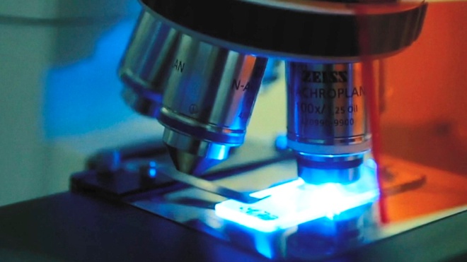 Ящик Бандеры