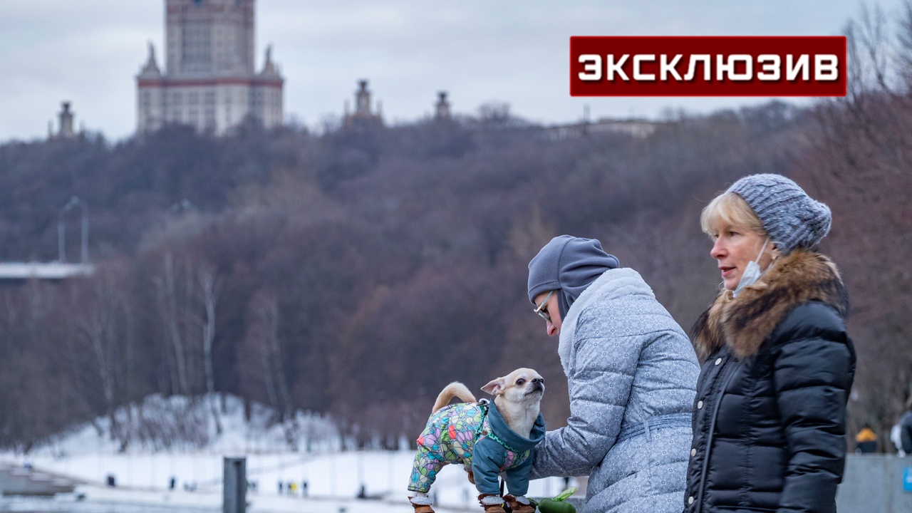 Похолодание в москве отопление включат. Похолодание. Москва сейчас.