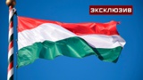 Эксперт оценил решение Венгрии выступить против антироссийских санкций