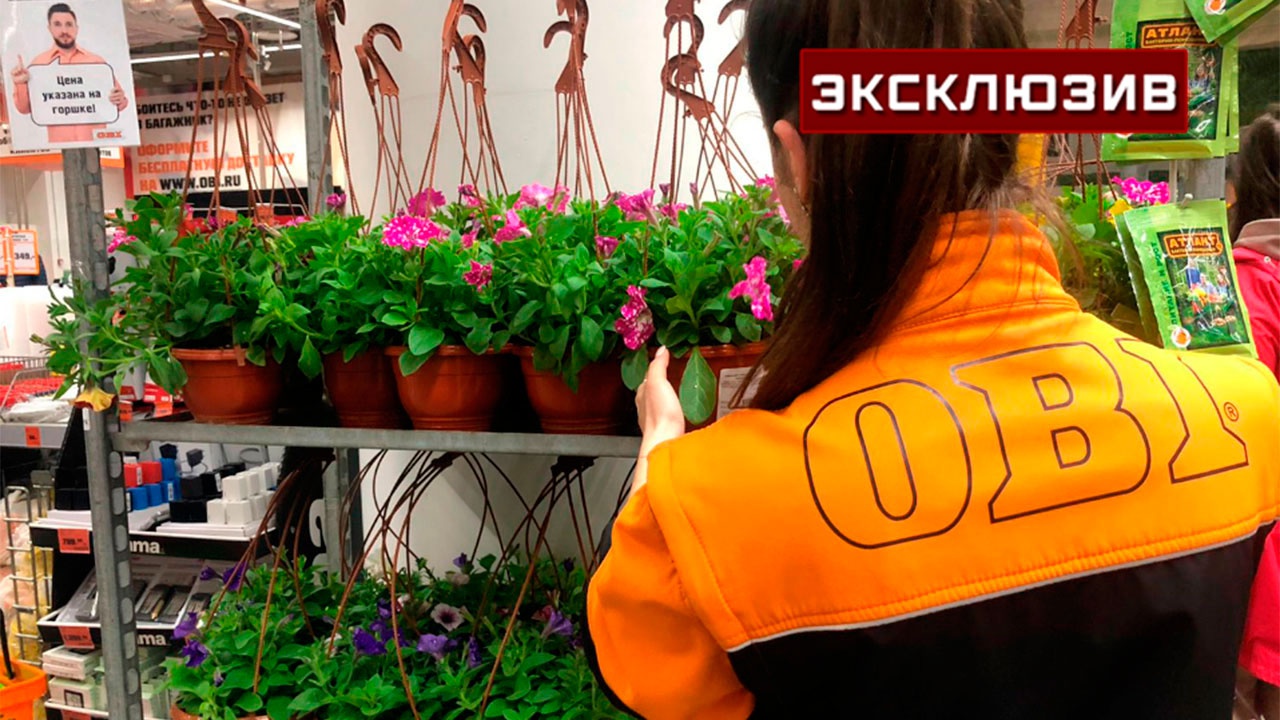 В OBI надеются, что их возвращение в РФ станет примером для других компаний
