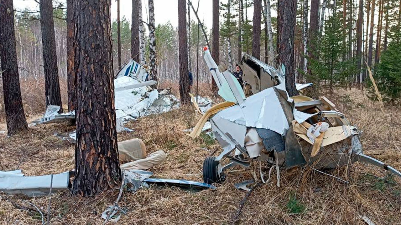 Самолет из ели