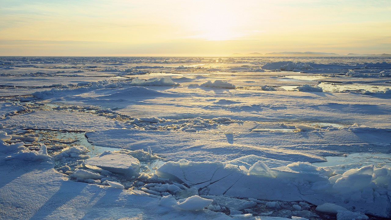 Подводный крейсер «Князь Олег» пробил торпедой льды Арктики