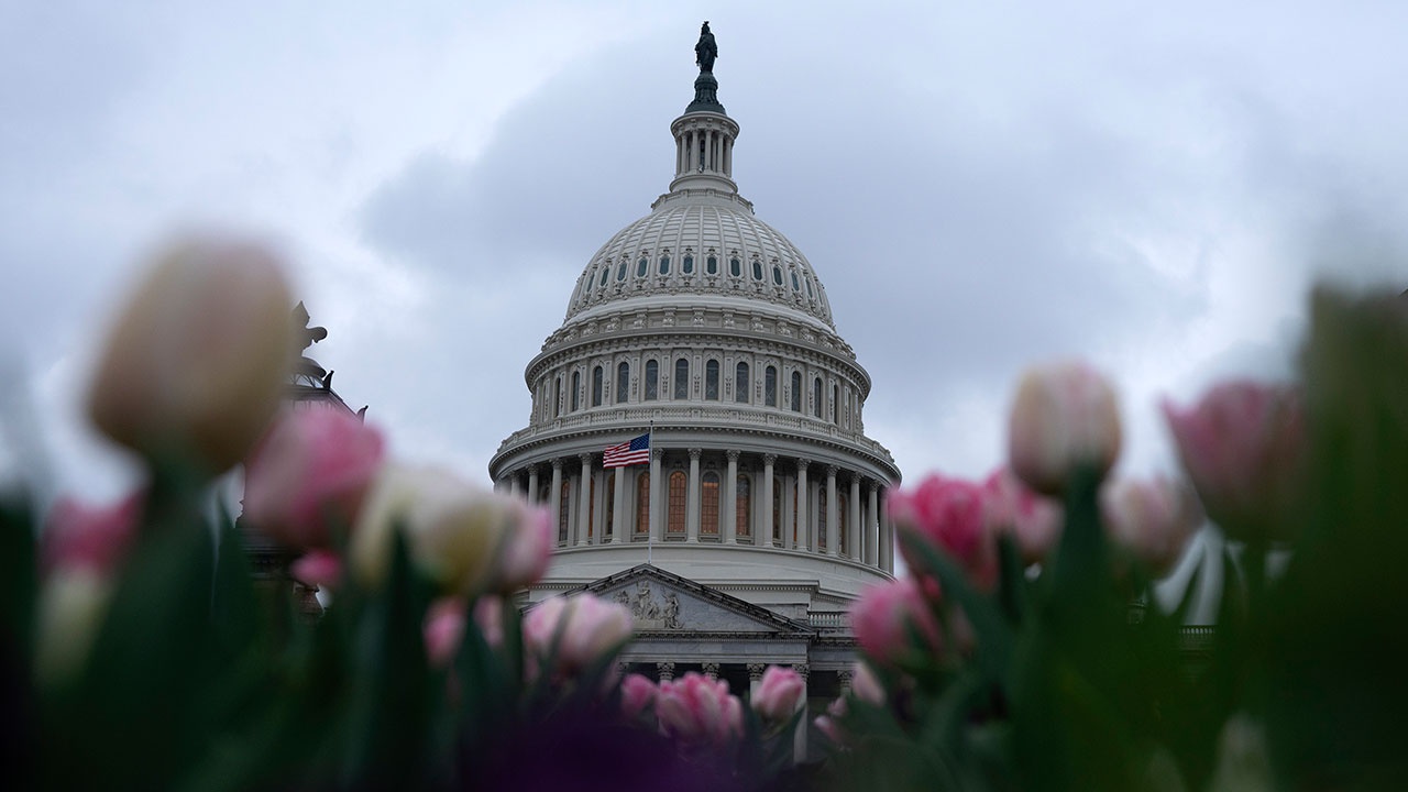 В Сенате США заблокирована инициатива выделения Украине помощи на рекордные $40 млрд