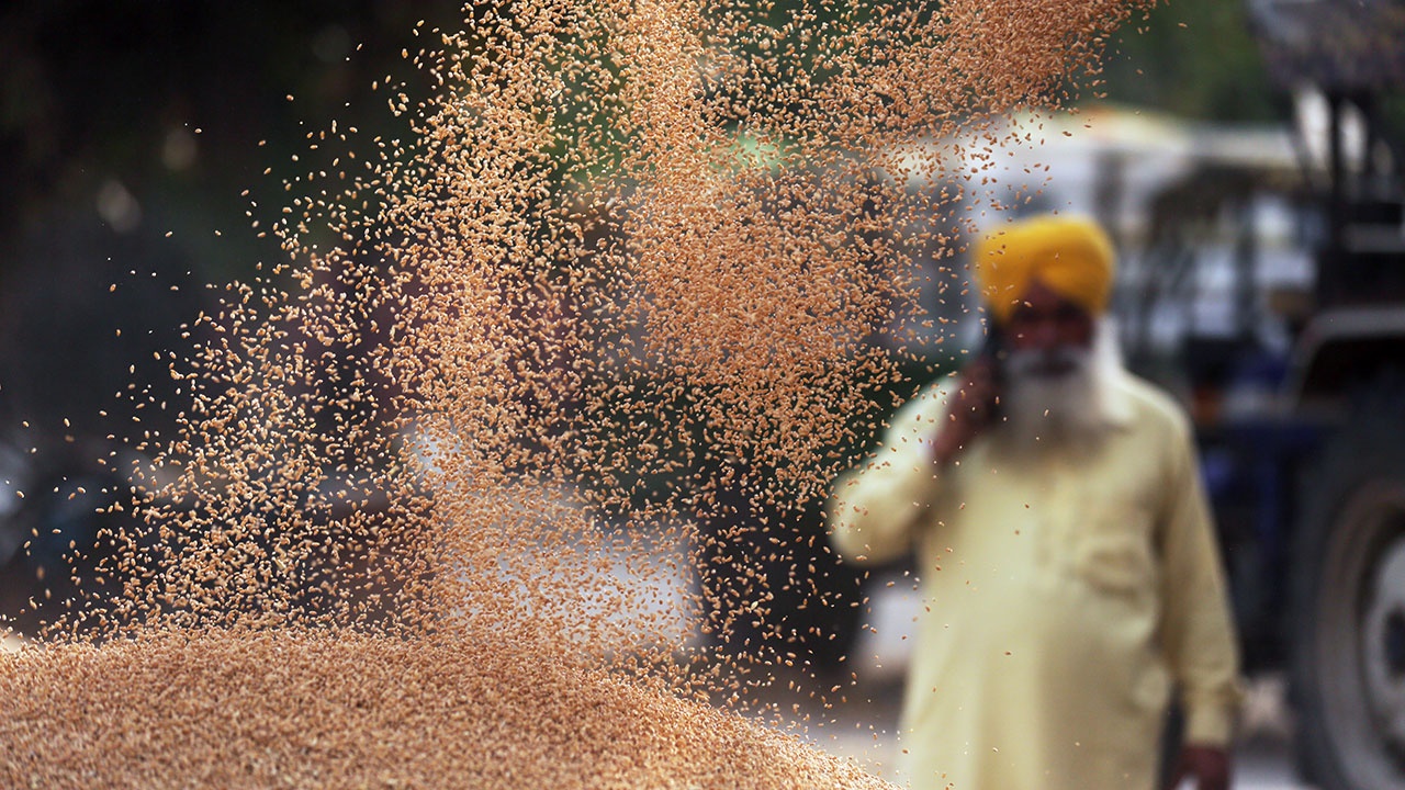 В Индии запретили экспорт пшеницы из-за скачка цен