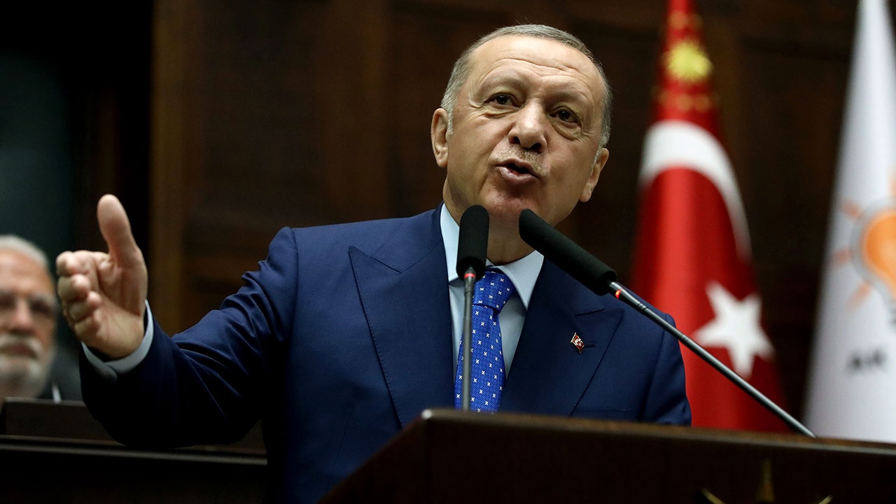 Эрдоган заявил, что Турция на станет ввязываться в «шоу по Украине»