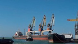 Пушилин предложил поставлять в Сирию продукцию через порт Мариуполя