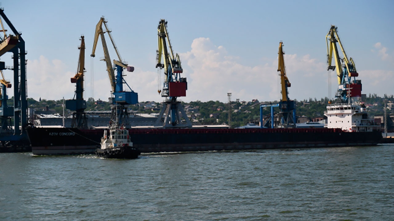 Оборонные ведомства РФ и Турции обсудили вывоз зерна из украинских портов 