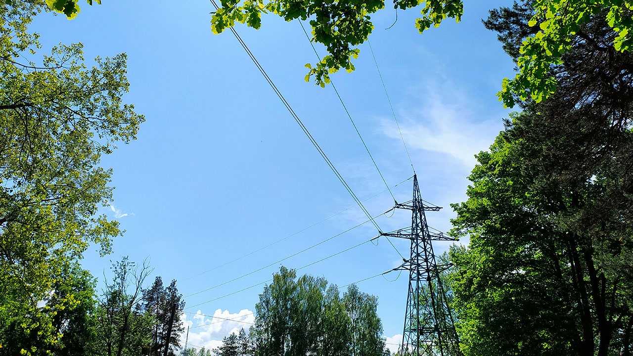 Слуцкий заявил о возможности отключения Литвы от общей системы электроснабжения
