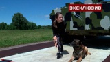 «Верный друг - 2022»: как прошли полосу препятствий участники всеармейского этапа конкурса