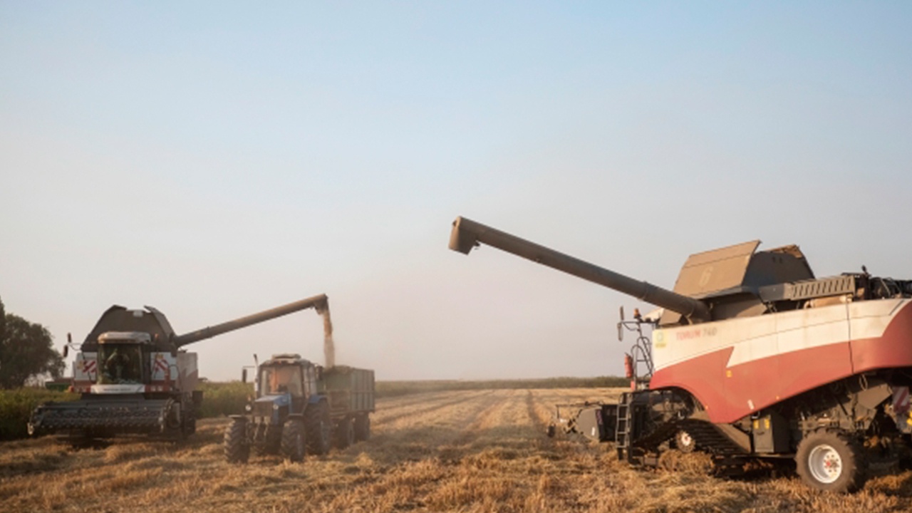 Россия ограничит вывоз риса и кормовых аминокислот до конца 2022 года