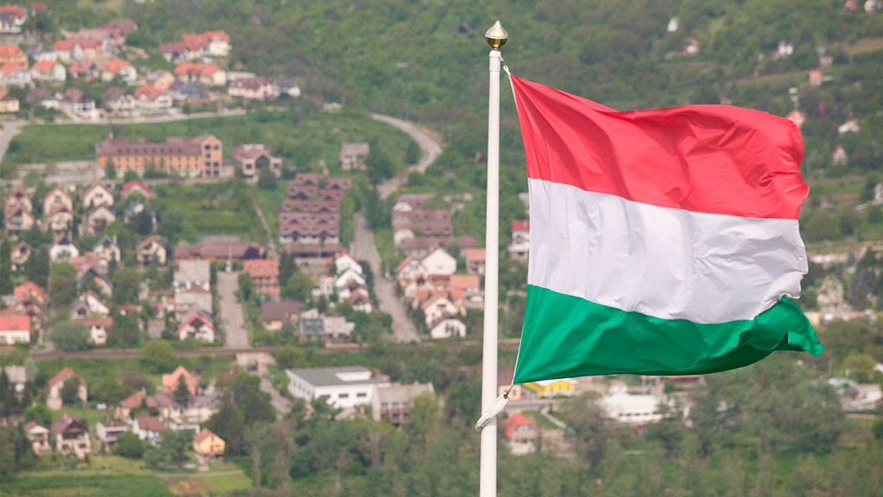 В Венгрии рассказали, почему не могут отказаться от поставок российских энергоресурсов