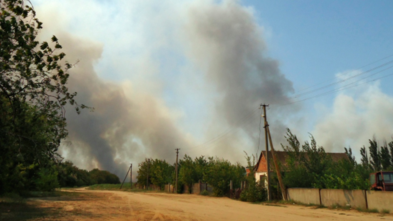 В Херсонской области рассказали о попытках украинцев поджигать поля пшеницы