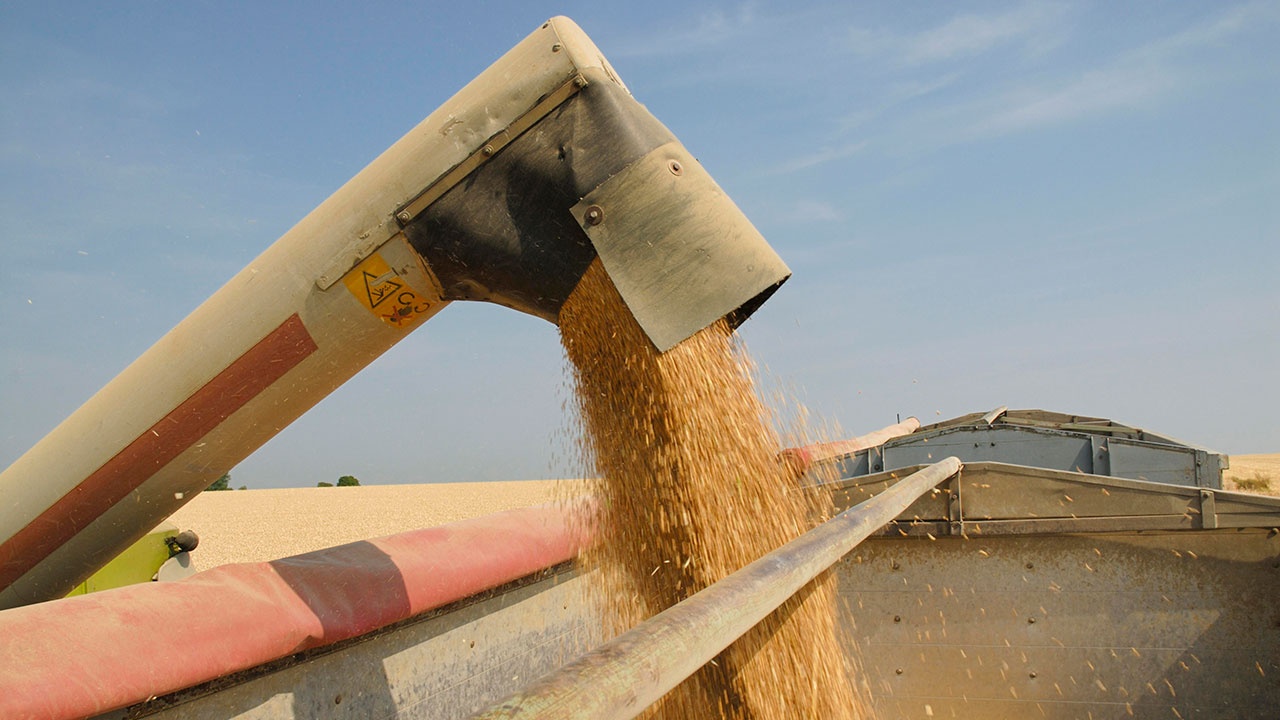МИД РФ: Россия в 2022 году экспортирует 37 миллионов тонн зерна