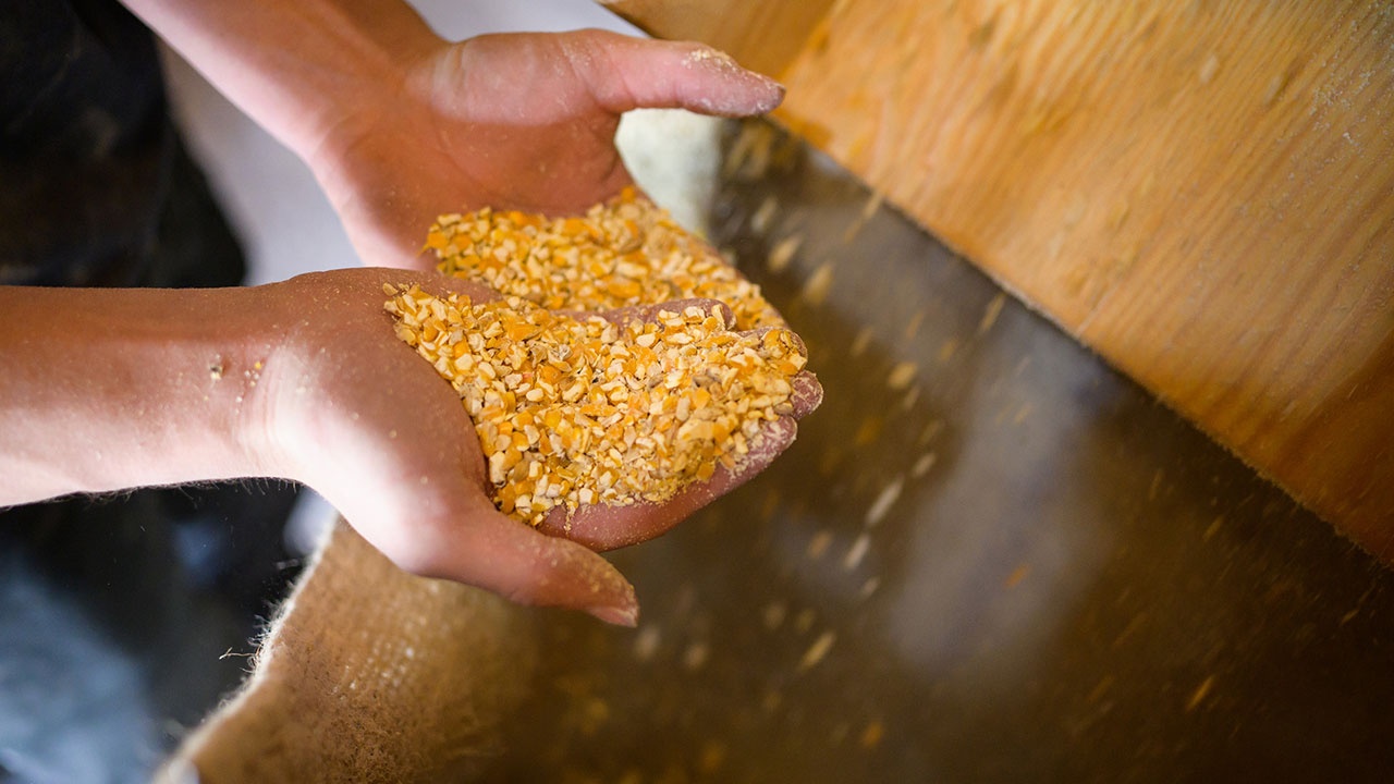 Замгенсека ООН заявил, что соглашение по вывозу зерна не предполагает механизма принуждения