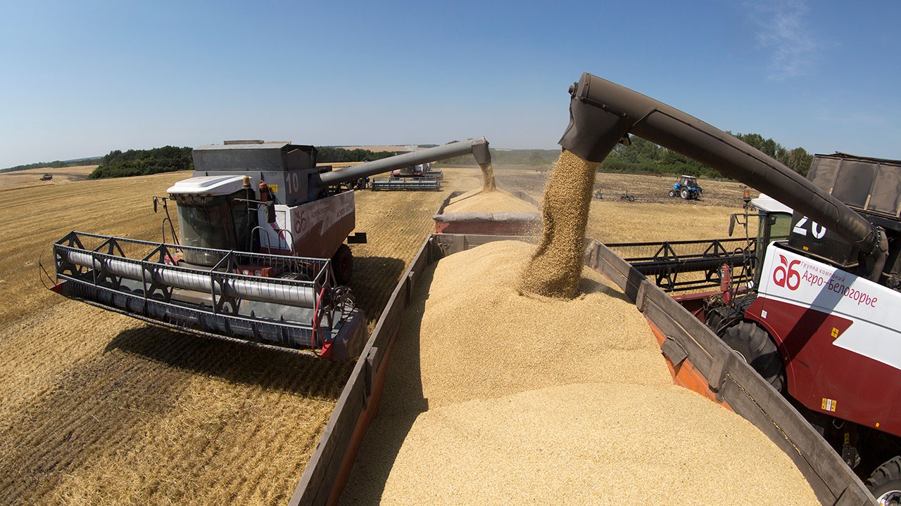 Минсельхоз заявил о возможности обеспечить российский рынок зерном за счет сокращения экспорта