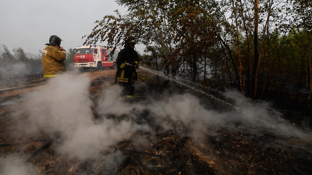 Воробьев перечислил опасные в связи с лесными пожарами территории в Подмосковье