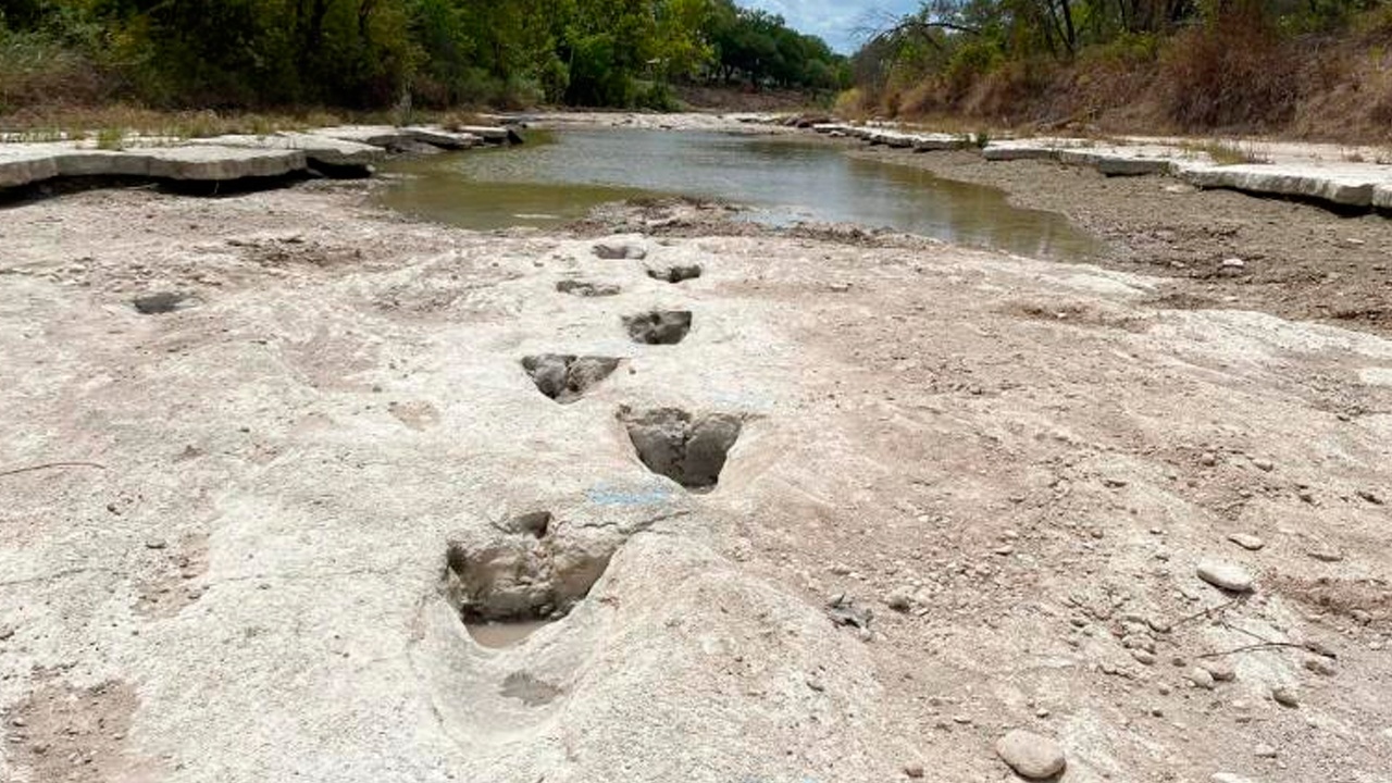 В Техасе из-за засухи нашли следы динозавров возрастом 113 миллионов лет 