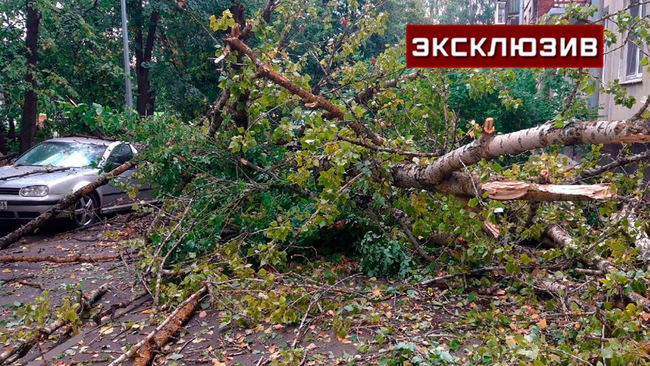 Стихийные бедствия санкт петербурга