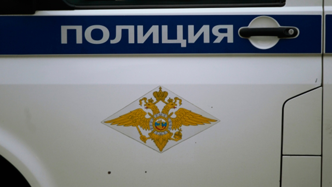 Директор турфирмы задержан из-за гибели туристов на Ключевской сопке