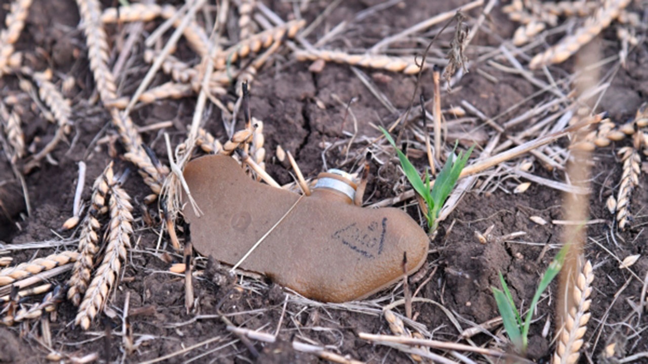 Мирный житель подорвался на противопехотной мине «Лепесток» ВСУ в Горловке
