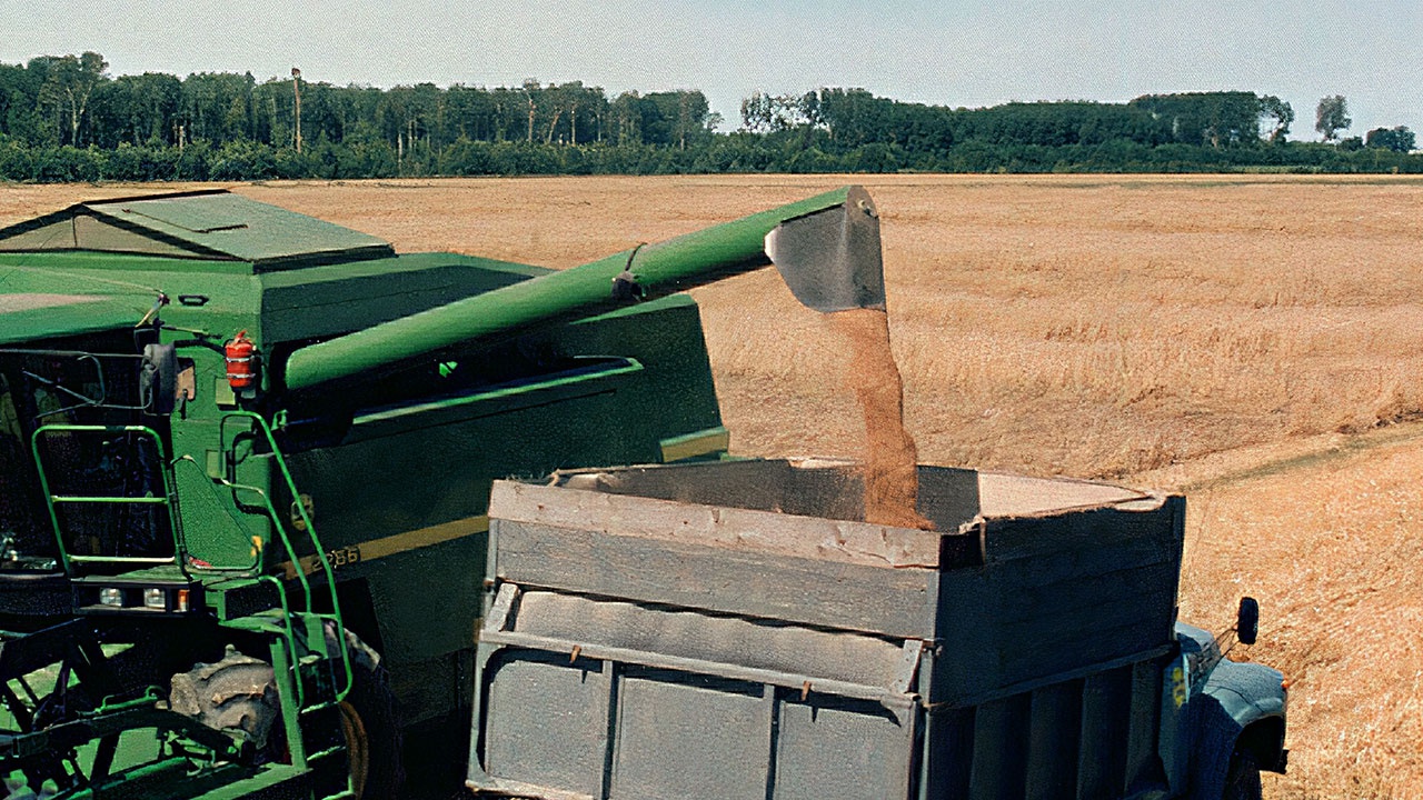 Путин обсудил с генсеком ООН вопросы вывоза украинского зерна и экспорта продовольствия и удобрений РФ