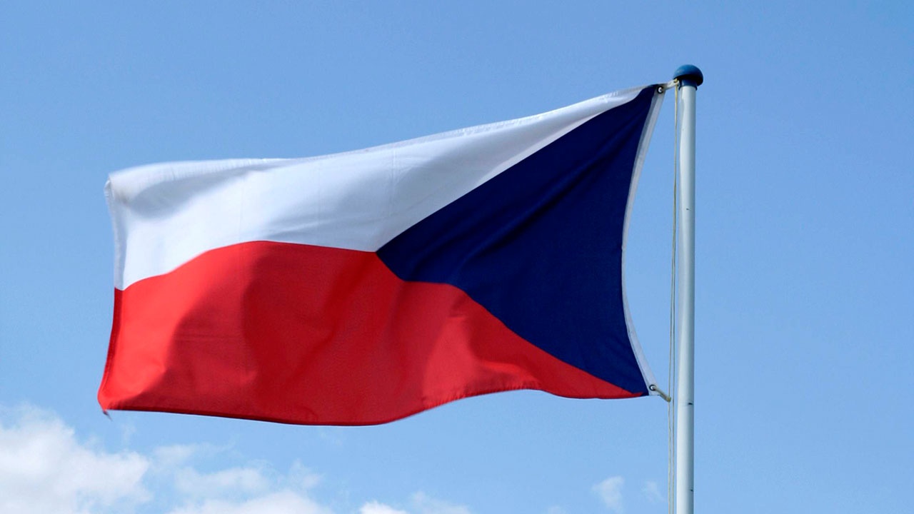 В Чехии заявили о большом количестве украинцев, занимающихся контрабандой людей