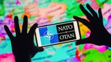 Politico: заявка Киева об ускоренном вступлении в НАТО стала неожиданностью для Белого дома