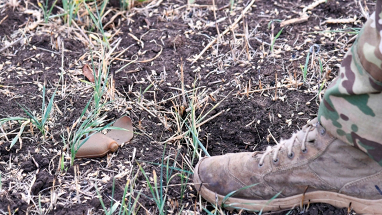 В ДНР сообщили об обнаруженных в Горловке противопехотных минах «Лепесток» 