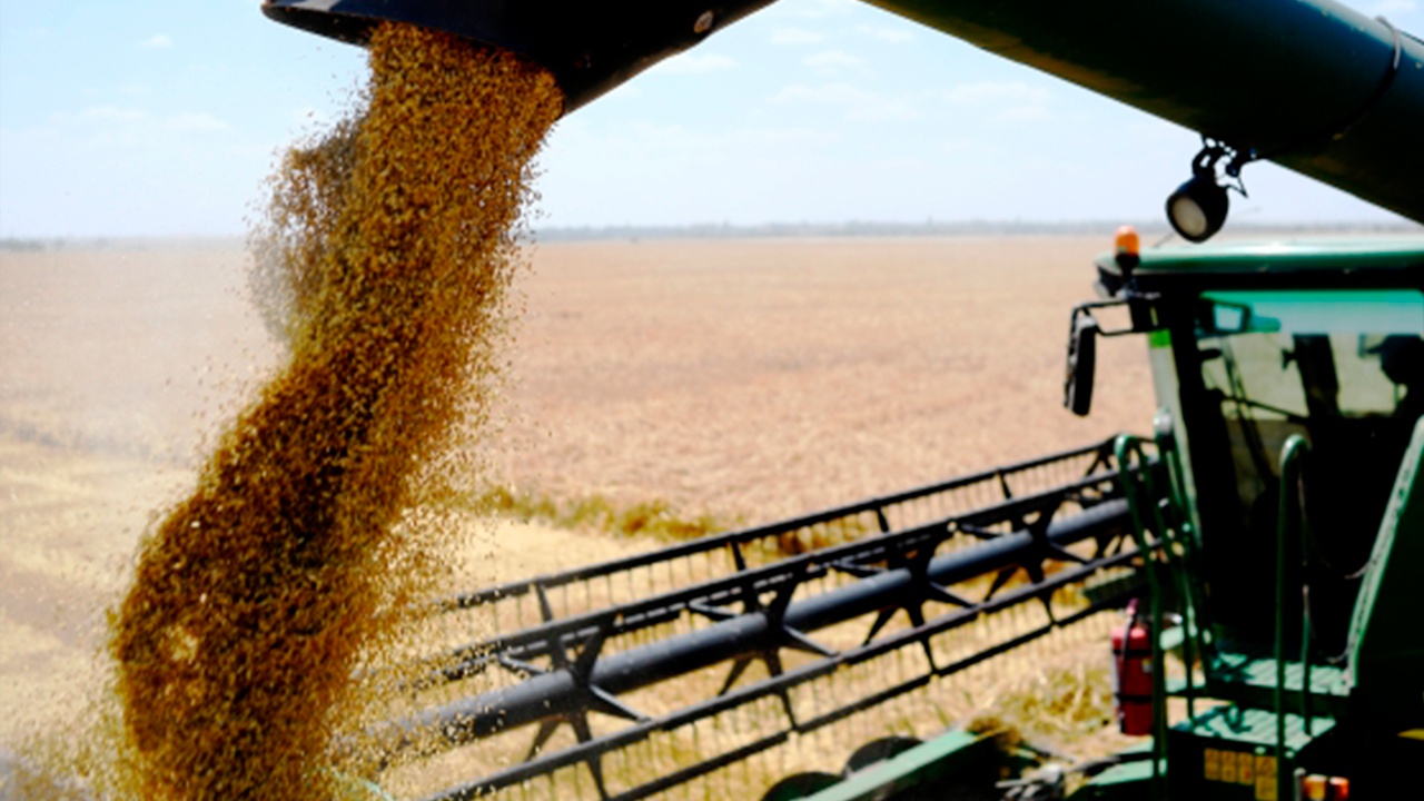 В ООН поприветствовали возвращение России к «зерновой сделке»
