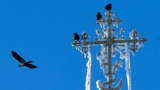 СБУ обнародовала «черный список» священнослужителей 
