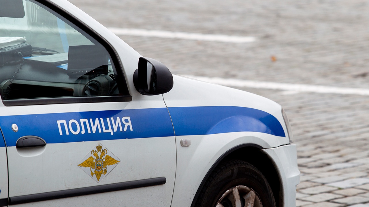 В Подмосковье задержали 14-летнюю девочку по подозрению в убийстве брата