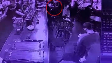 Действия Лепса перед дракой в баре попали на видео