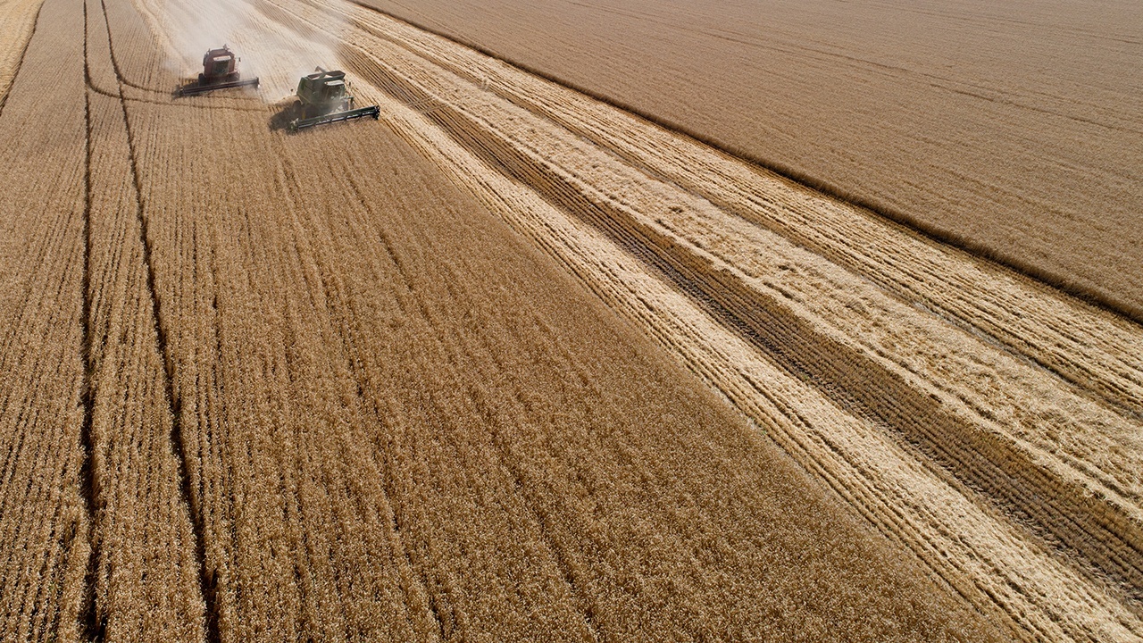 Кабмин утвердил экспортную квоту на зерно в первом полугодии 2023 года