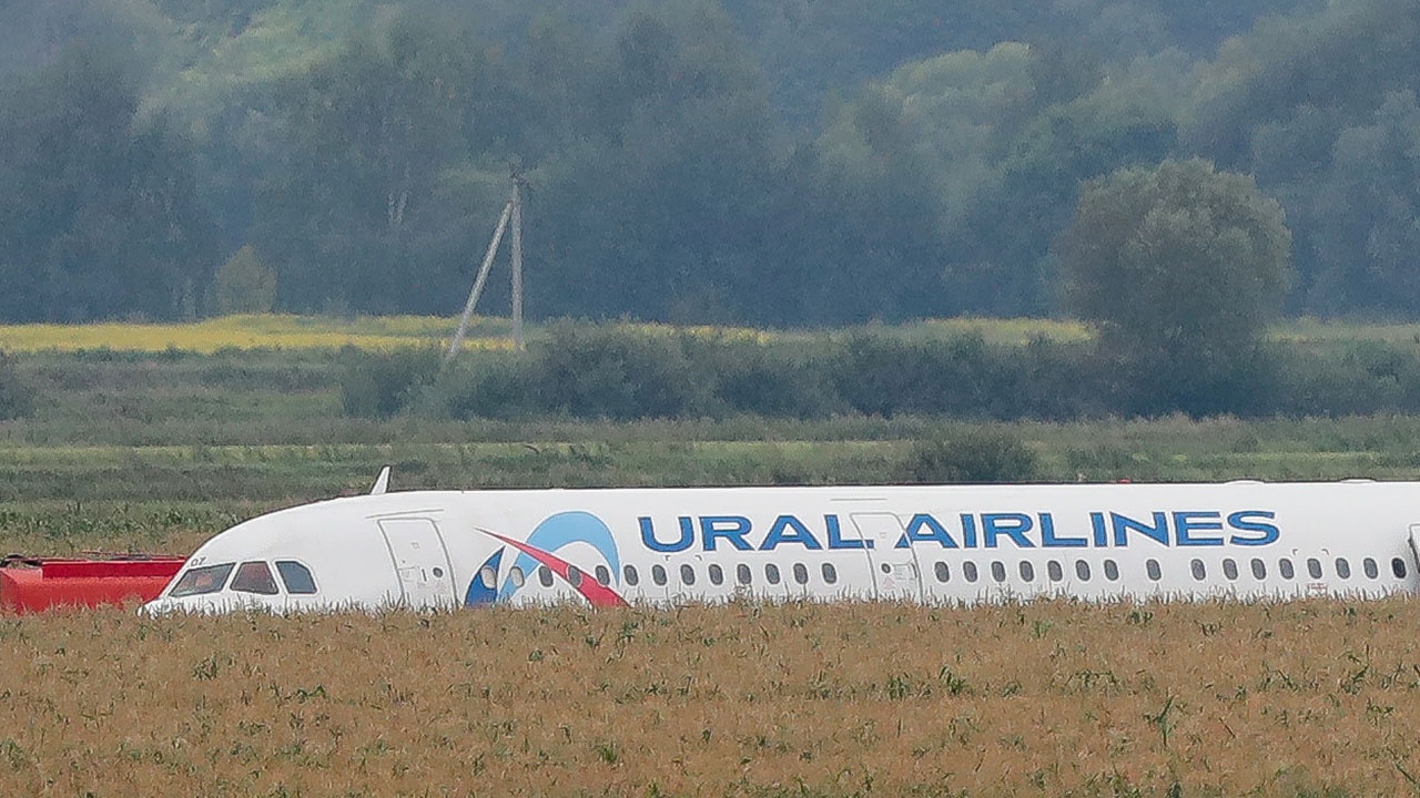 МАК завершил расследование посадки самолета на кукурузном поле в Раменском в 2019 году
